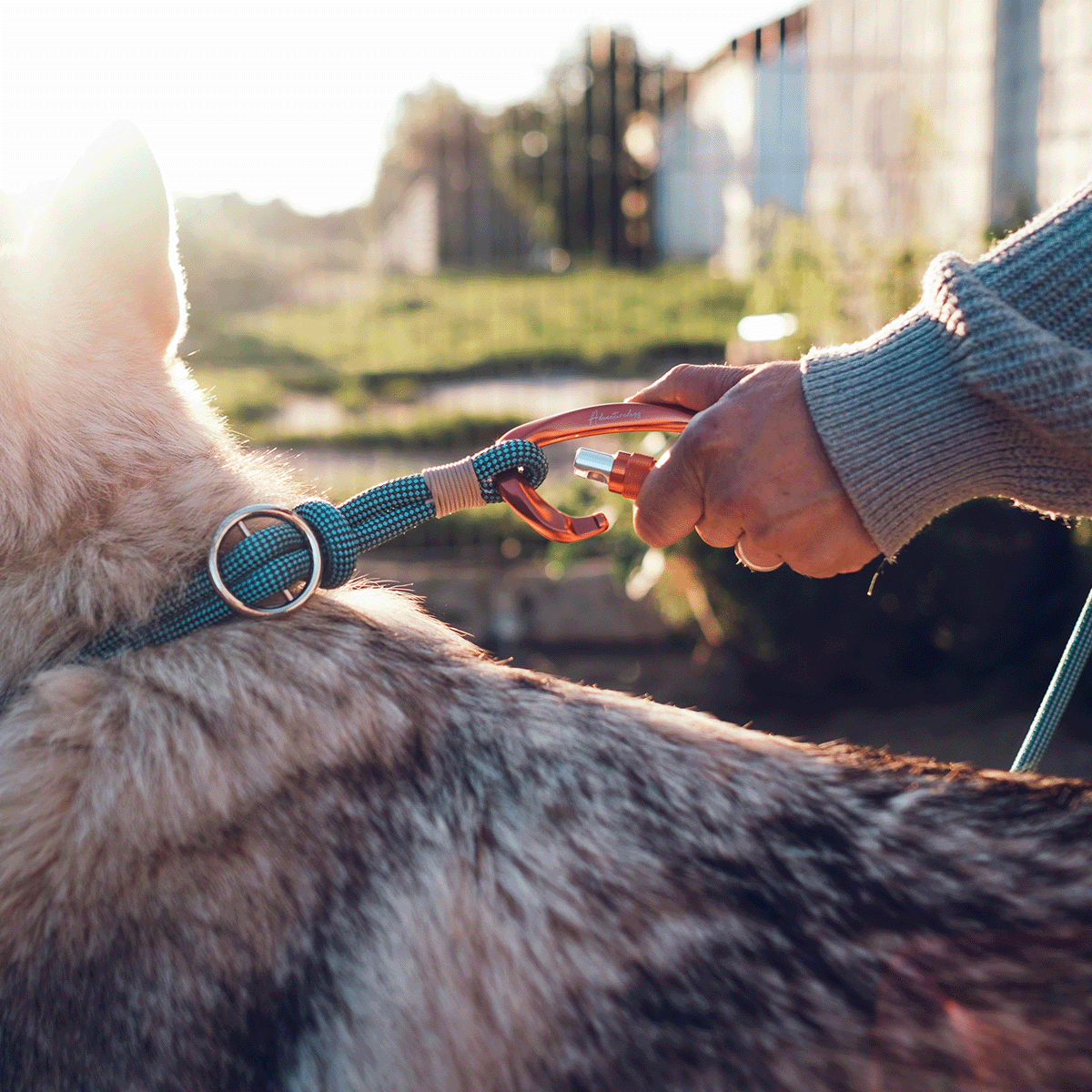 Stylish Rope Collar