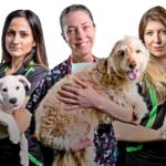 Celebrating Rescue Pets Stories from the Found My Animal Community