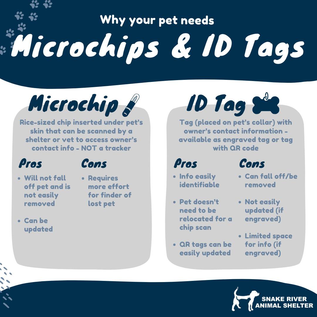 Microchips for Pets