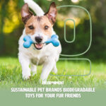 Facebook Sustainable Pet Brands