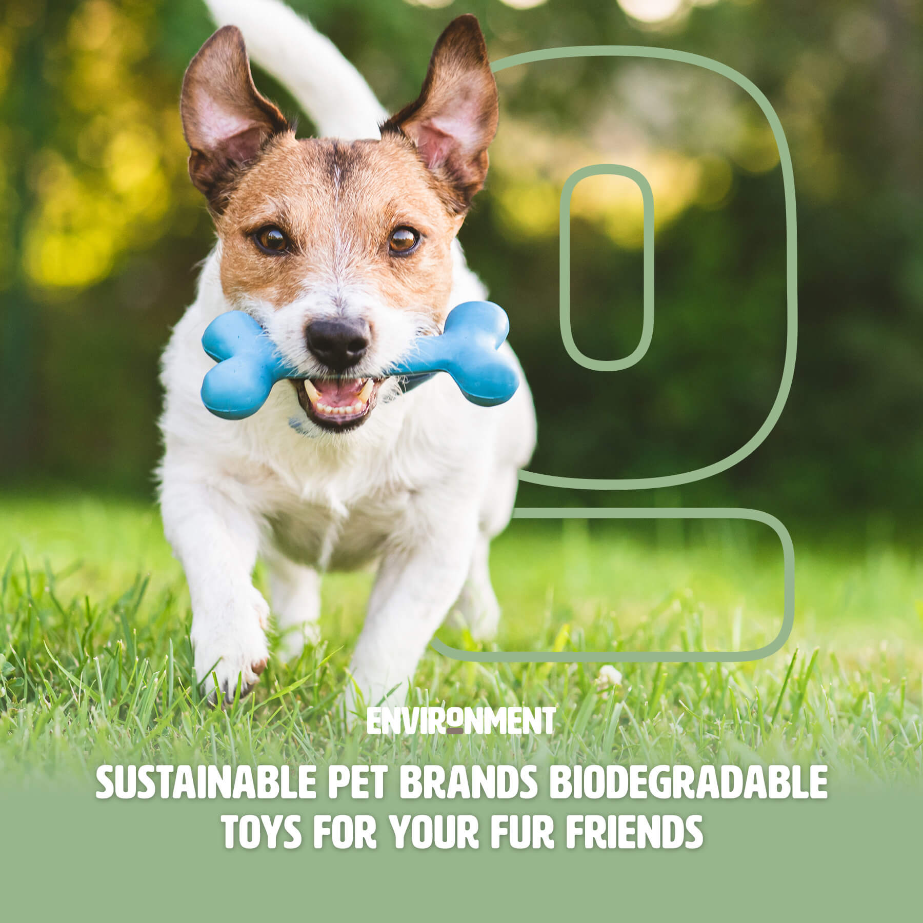 Sustainable Pet Brands